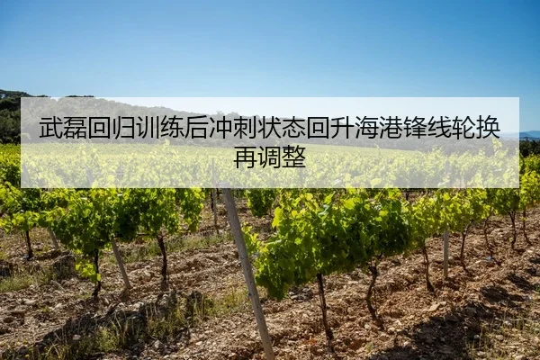 武磊回归训练后冲刺状态回升海港锋线轮换再调整